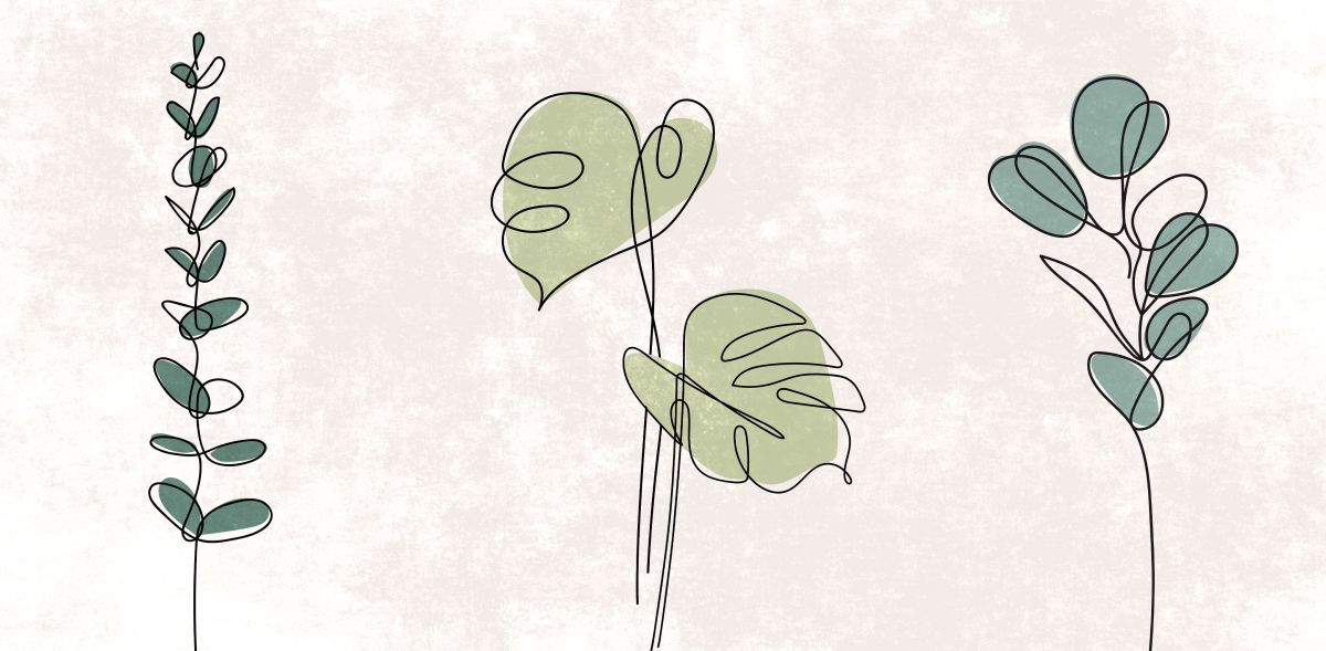 Green Leaf Illustration – Pineapple Licensing