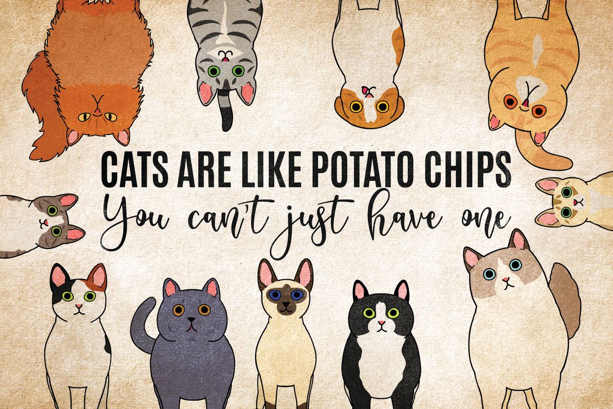 Cats Are Like Potato Chips – Pineapple Licensing
