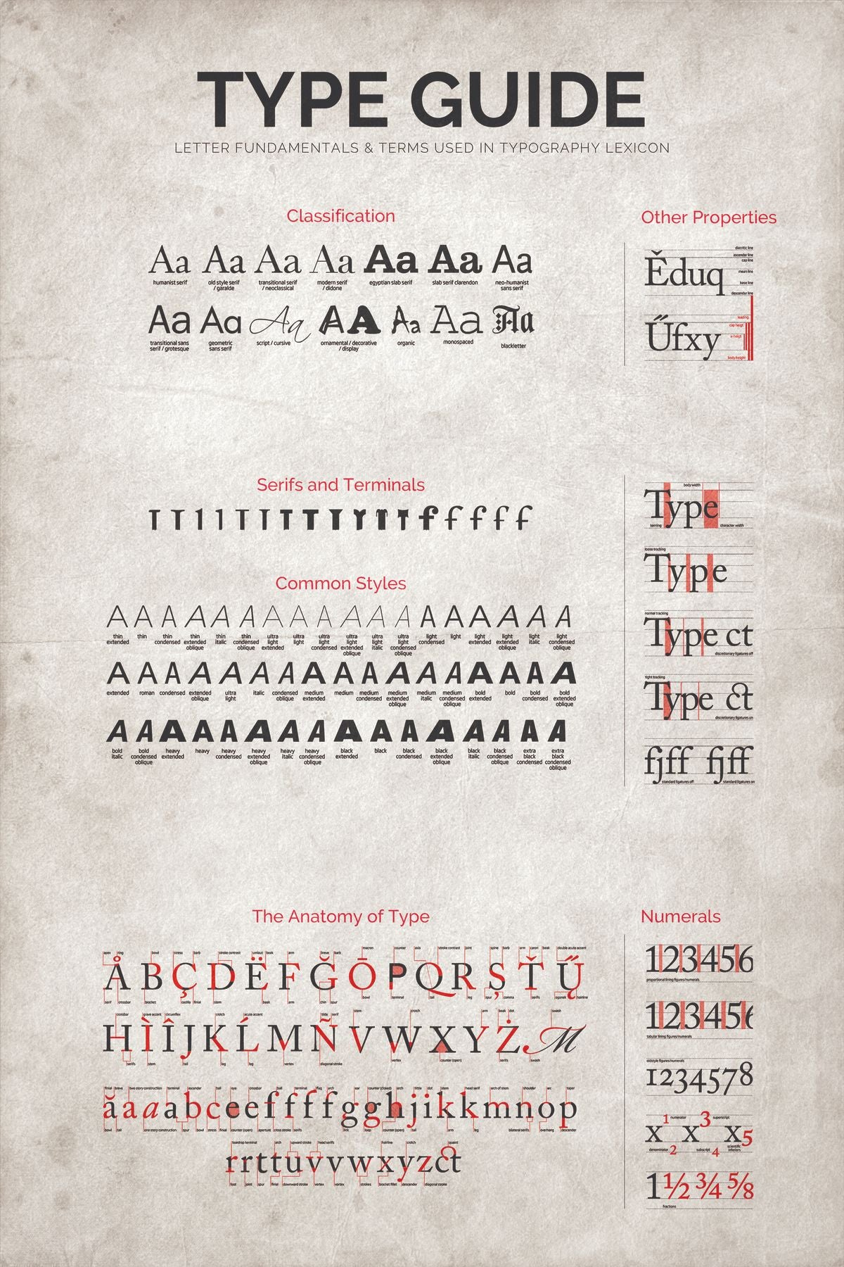 Typling Chart Type Guide Chart – Pineapple Licensing