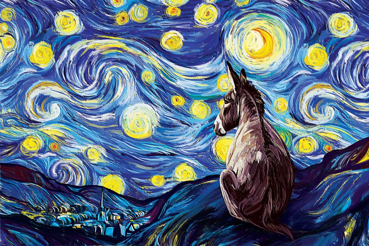 Donkey And The Starry Night