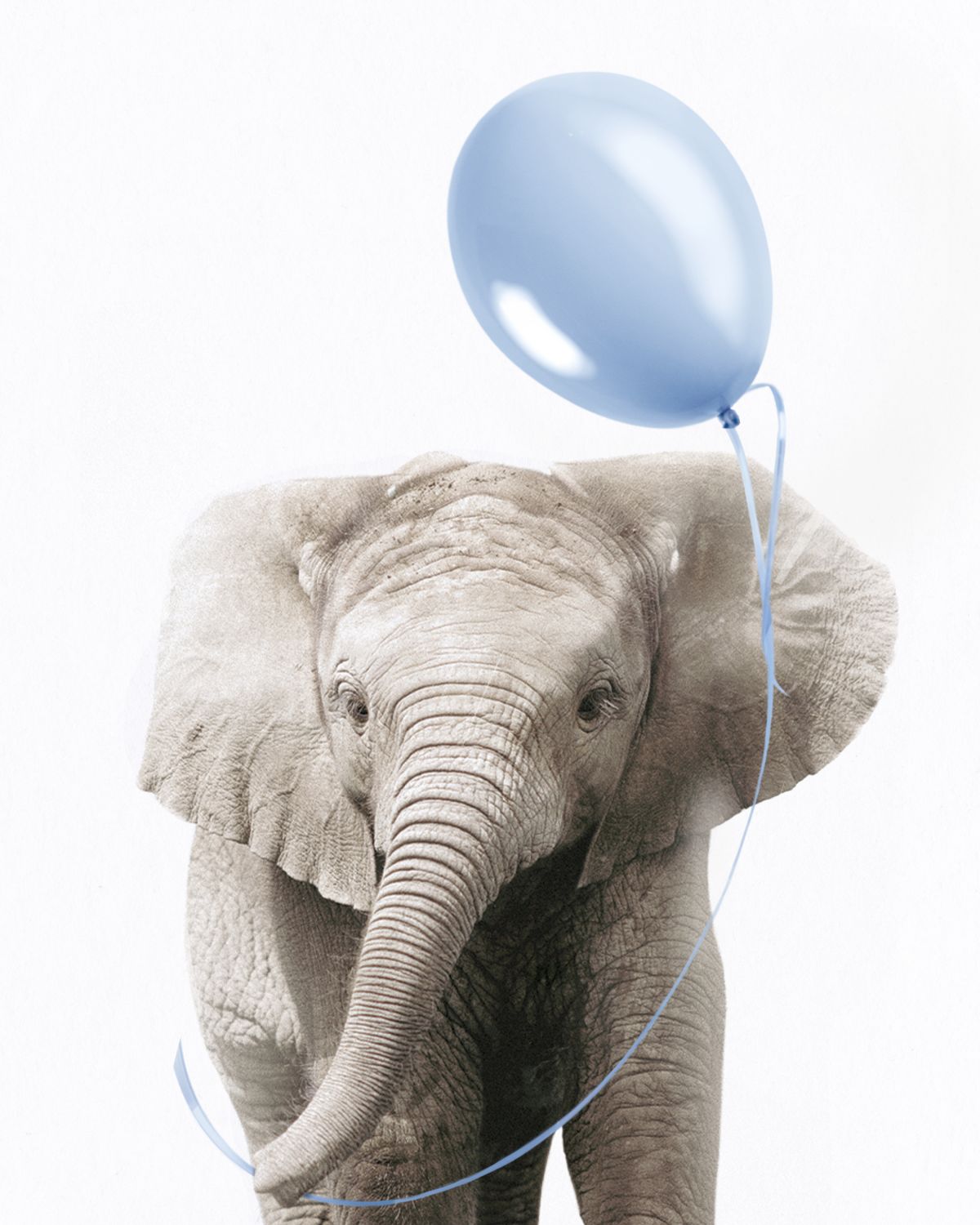 Elephant And Blue Balloon
