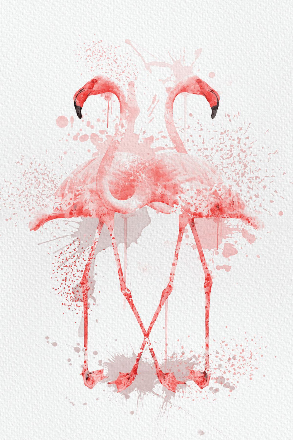 Flamingo Pair Watercolor Splash