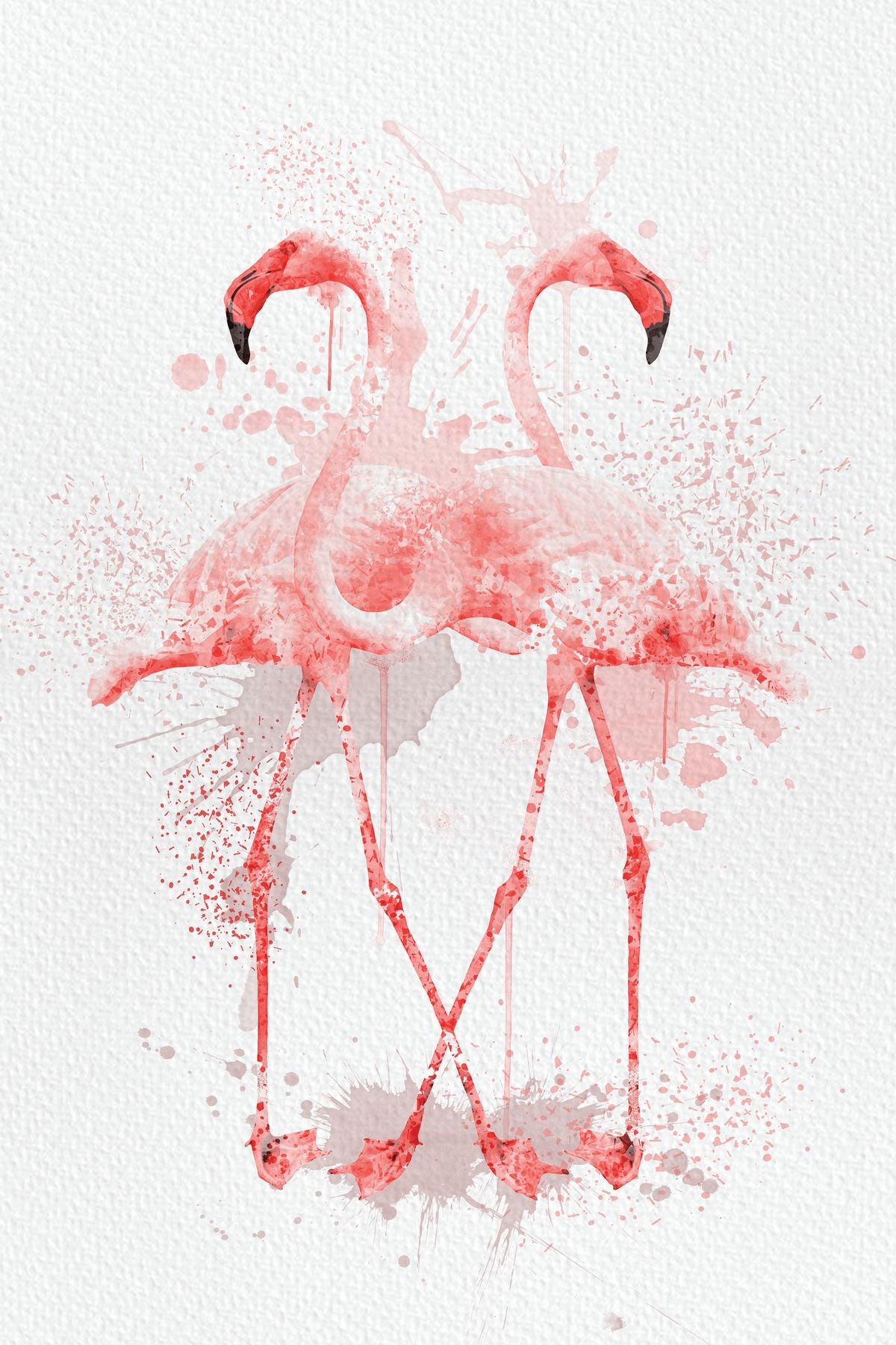 Flamingo Pair Watercolor Splash