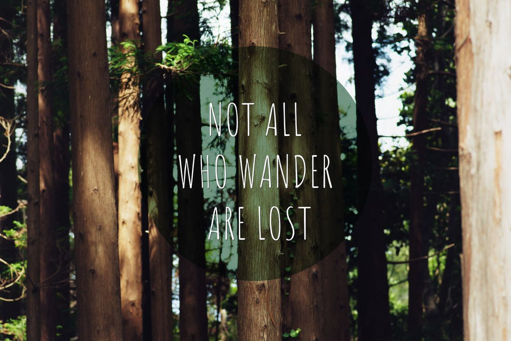 Not All Who Wander Quote