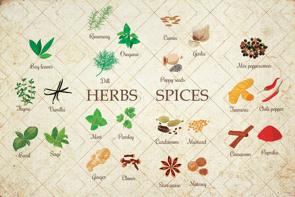 Culinary Herbs And Spices Chart