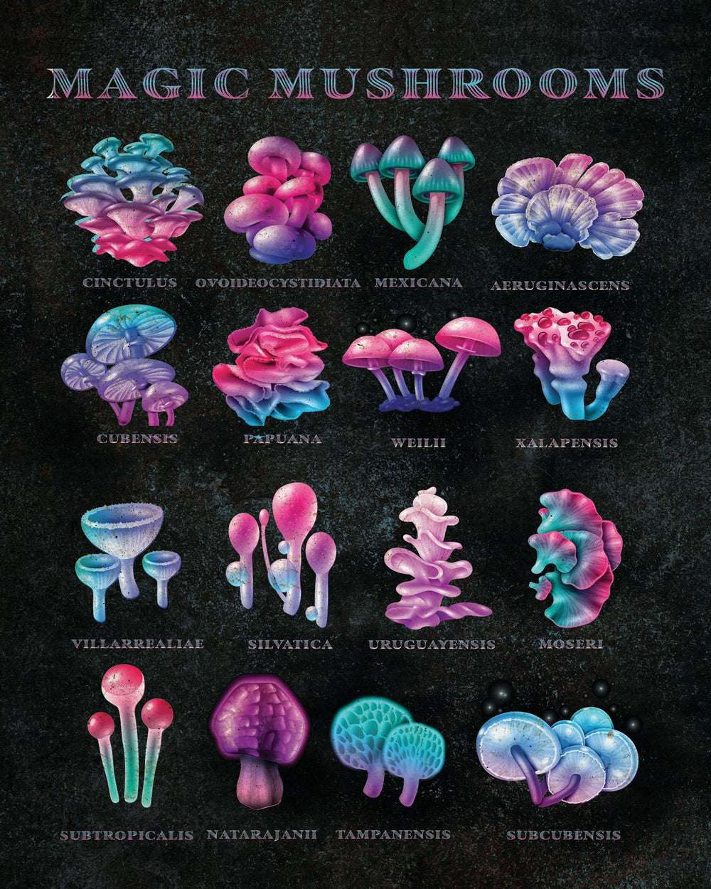 Magic Mushrooms Chart
