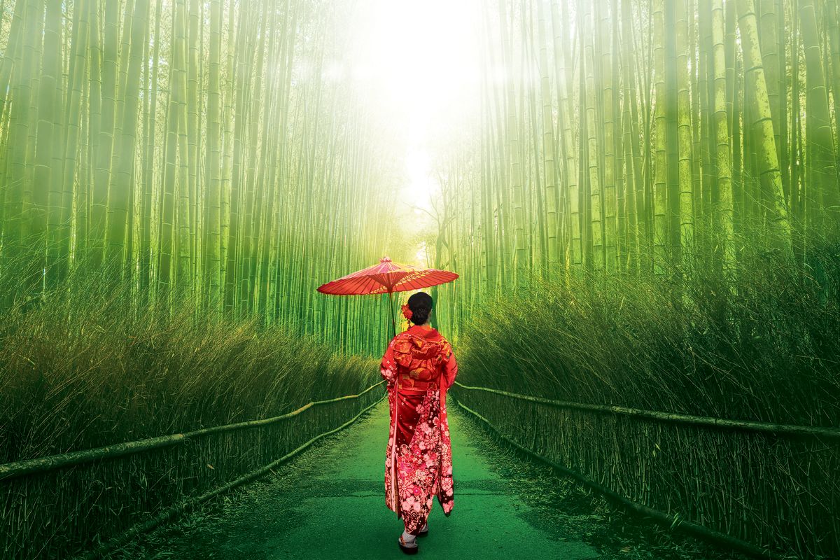 Japanese Woman In Bamboo Forest