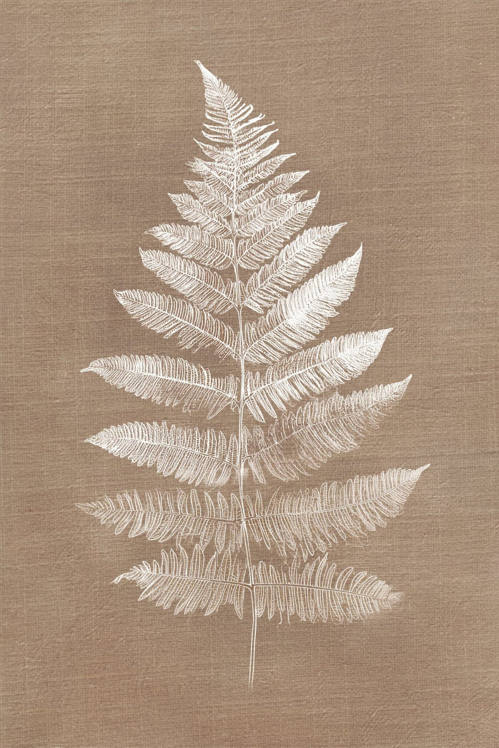 White Fern Silhouette