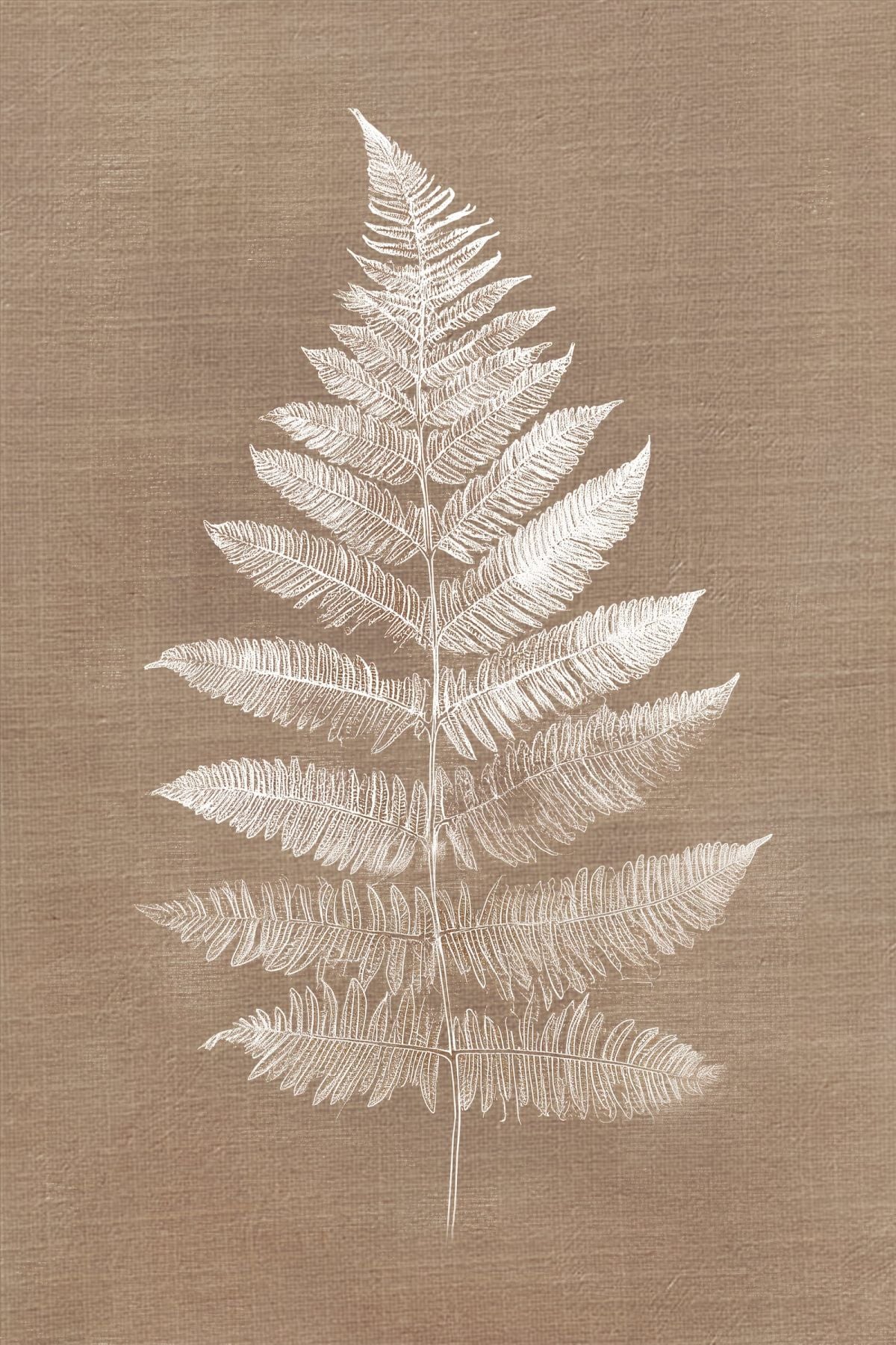 White Fern Silhouette