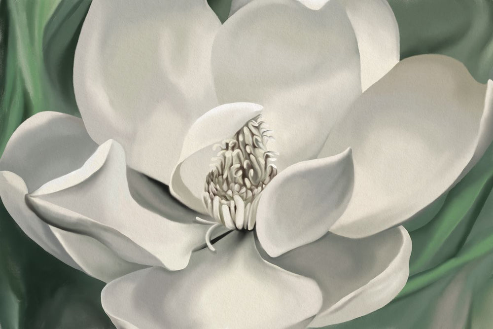Magnolia White