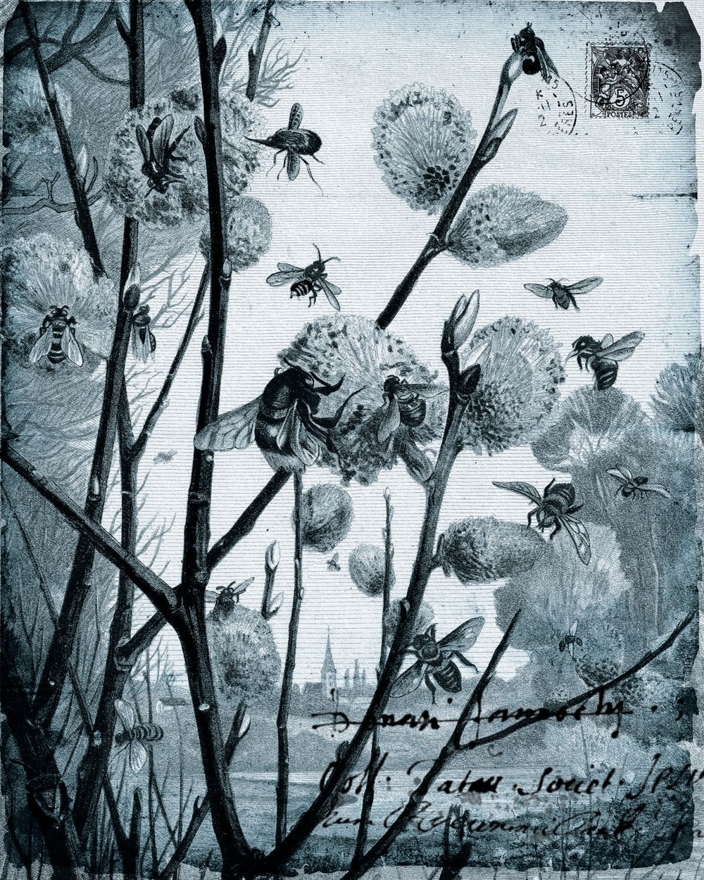 Bees On Flowers Postcard