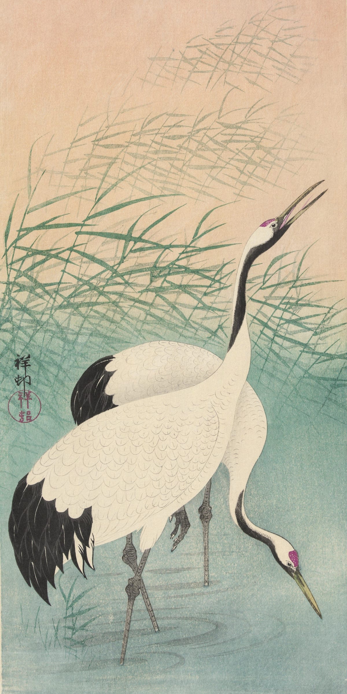 Twin Japanese Cranes