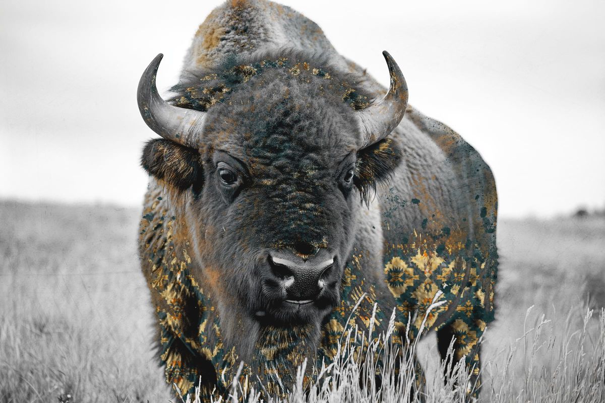 Gilded BW Bison
