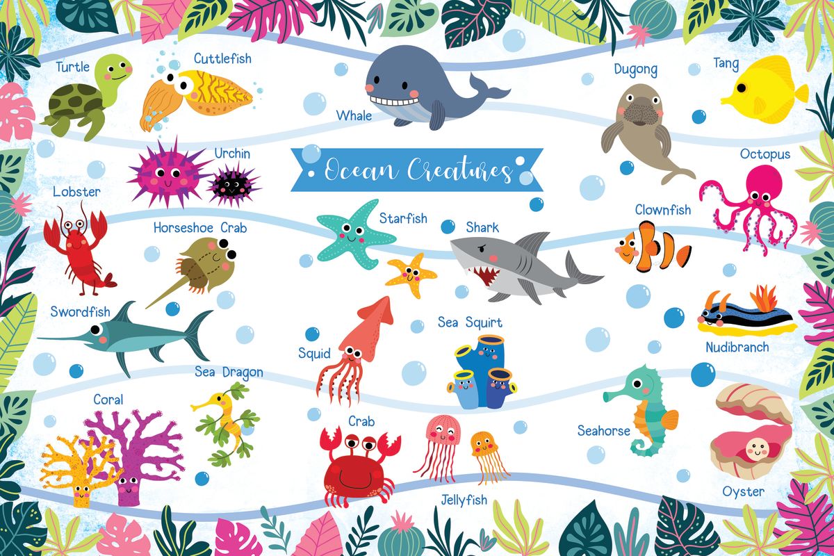Sea Creatures Reference Ocean Creatures Chart – Pineapple Licensing