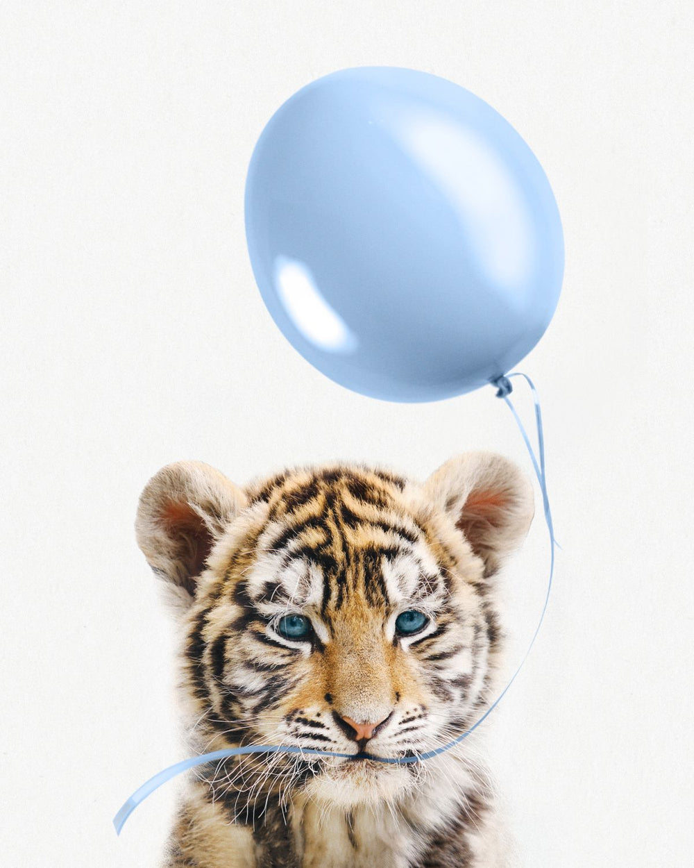 Tiger And Blue Balloon