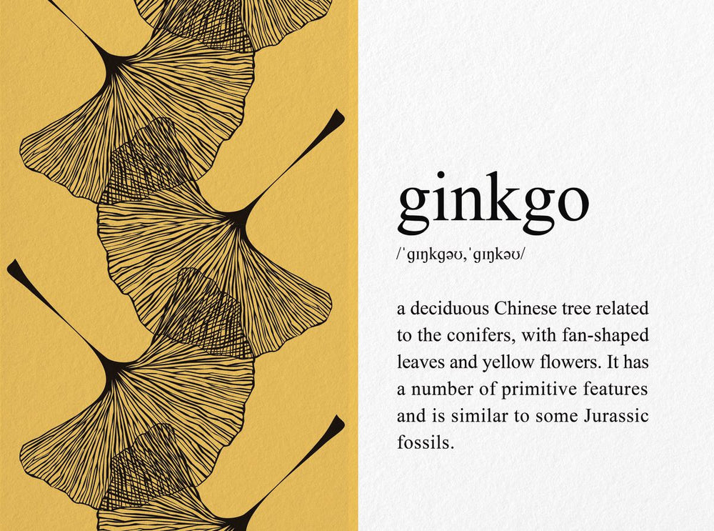 Ginkgo Definition