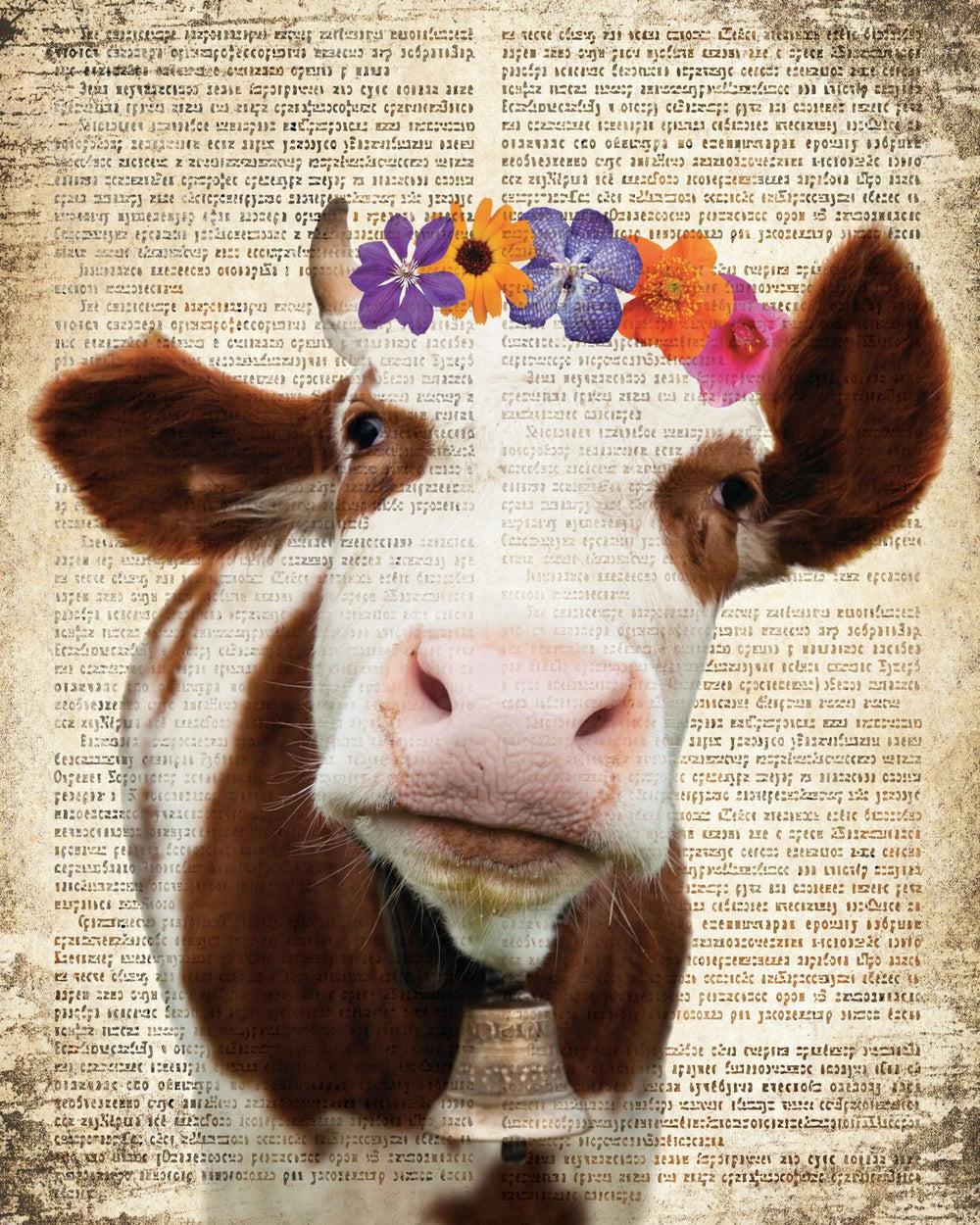 Cow Flower