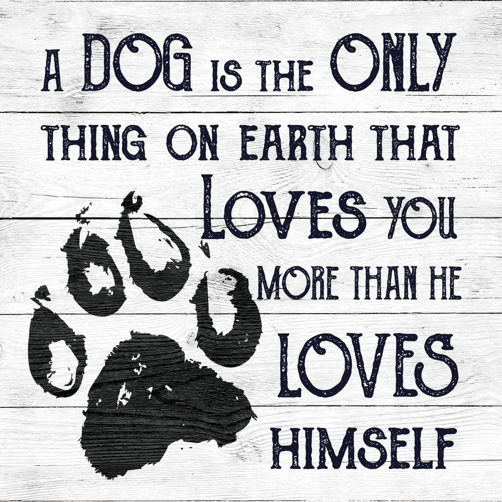 Dog's Unconditional Love