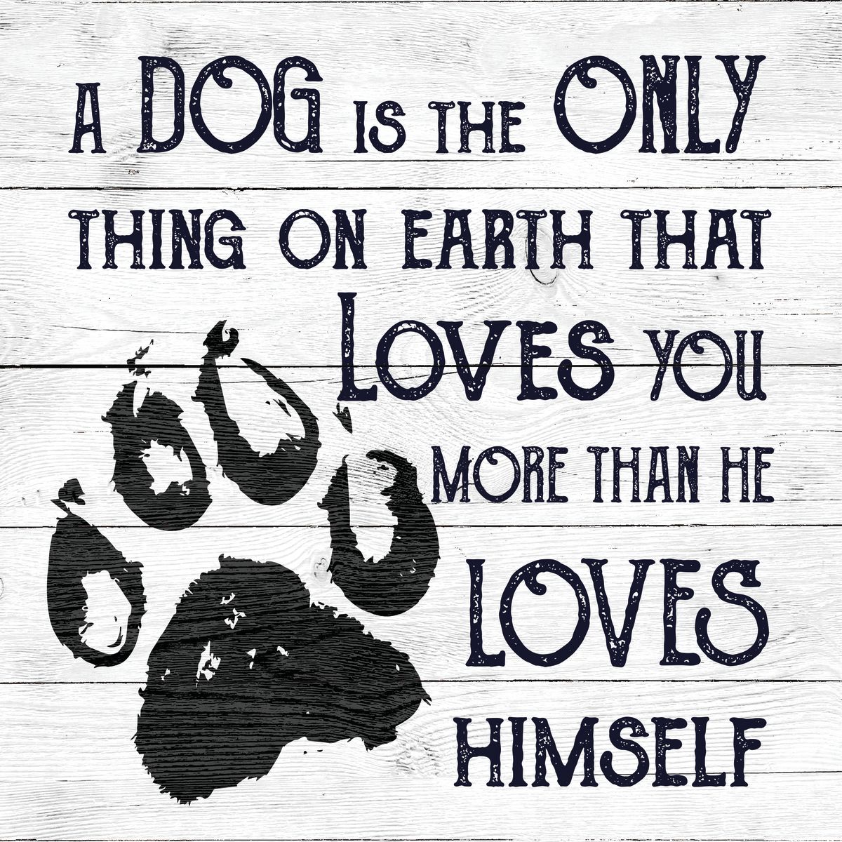 Dog's Unconditional Love