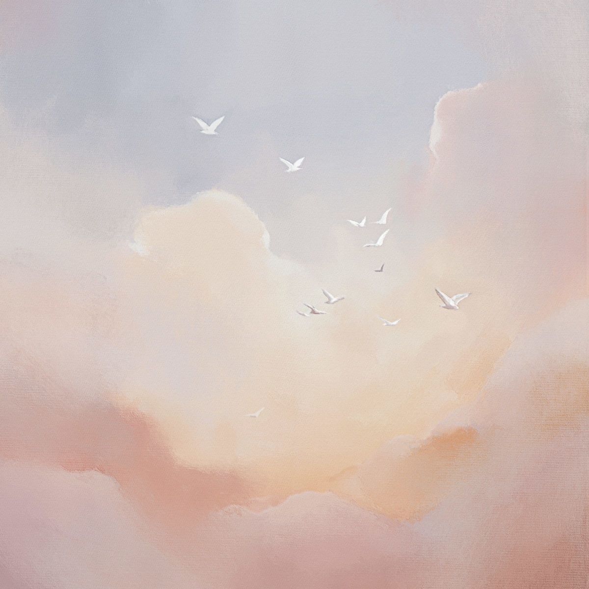 Birds Follow The Light