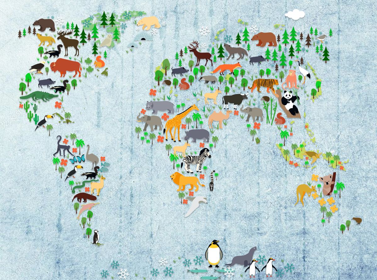 Kids Map Of Animals