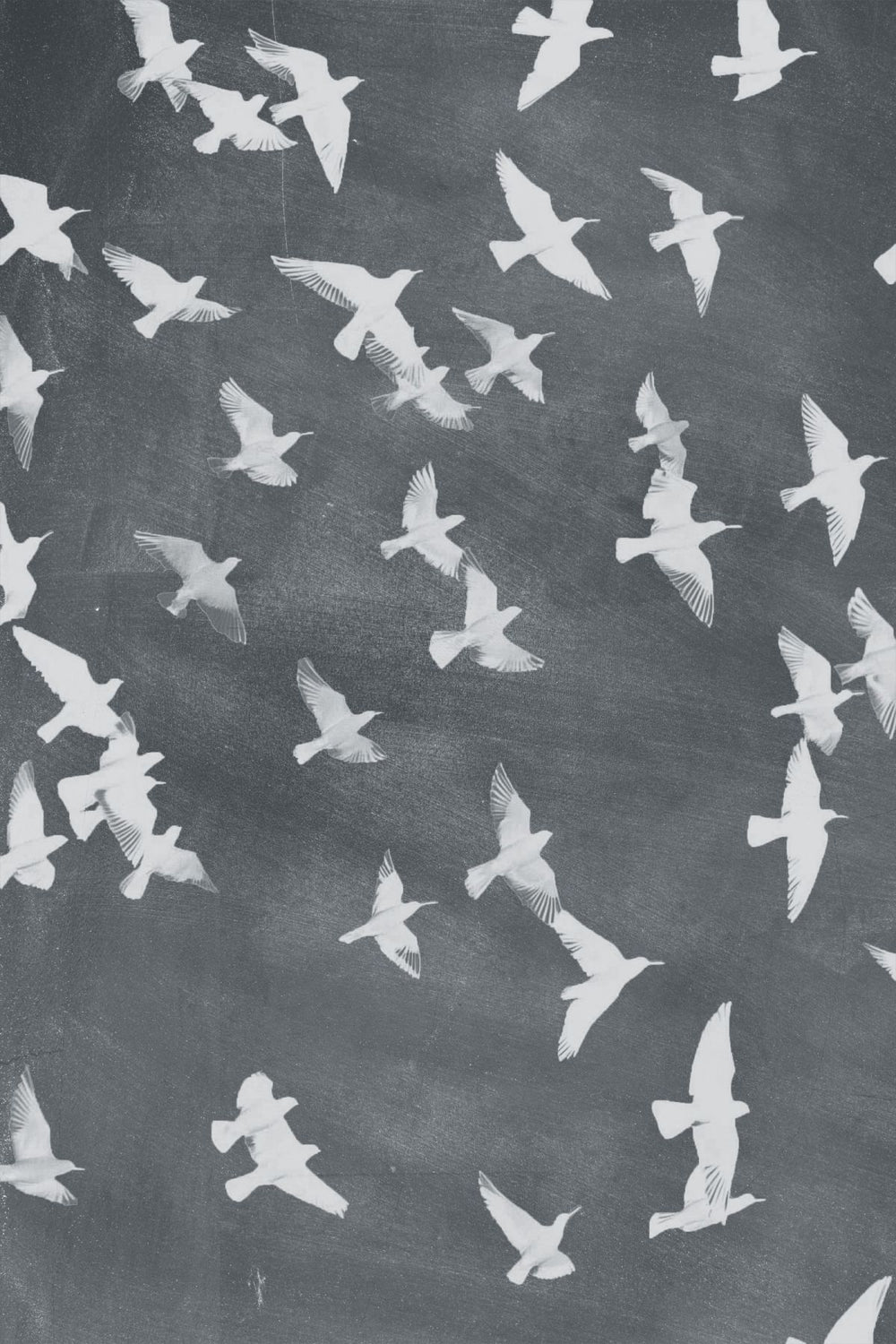 Flock Of Flying Birds