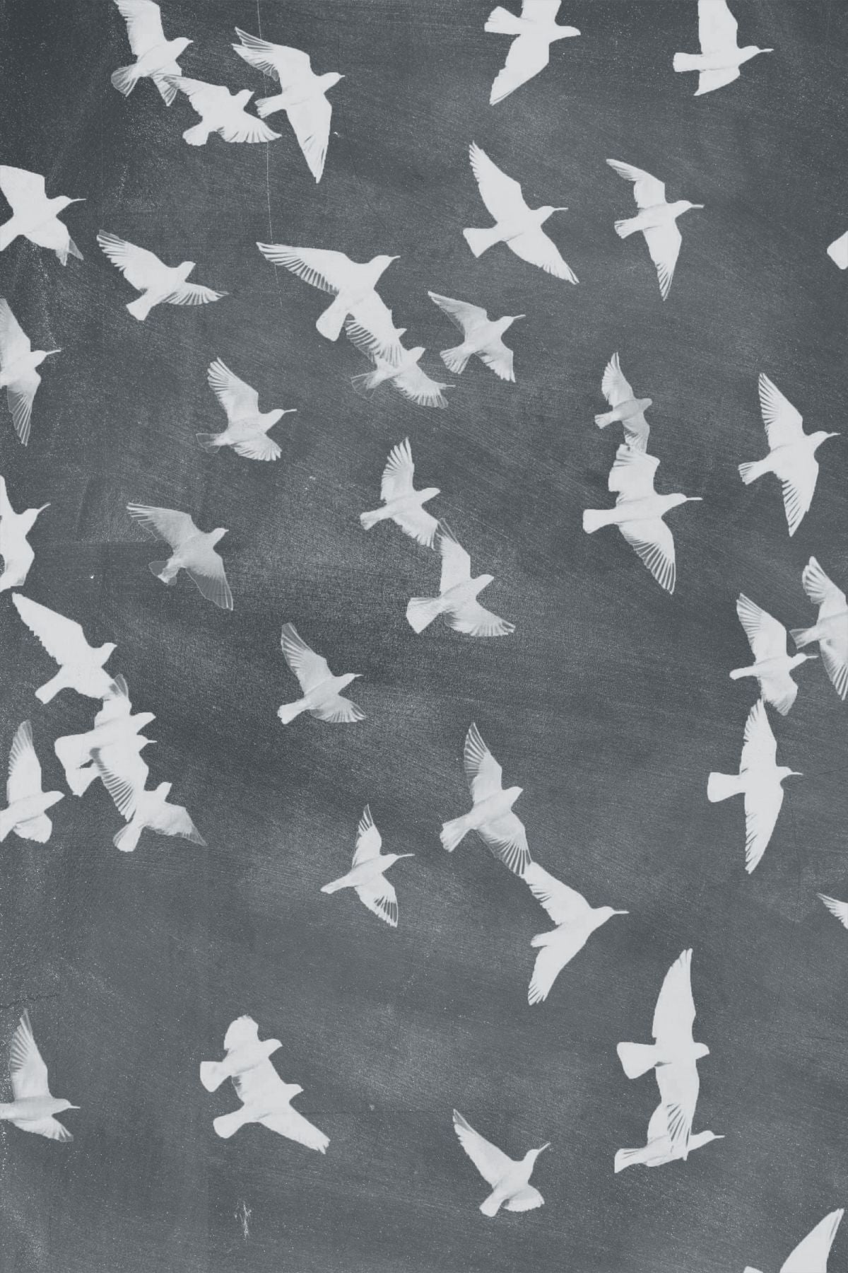 Flock Of Flying Birds
