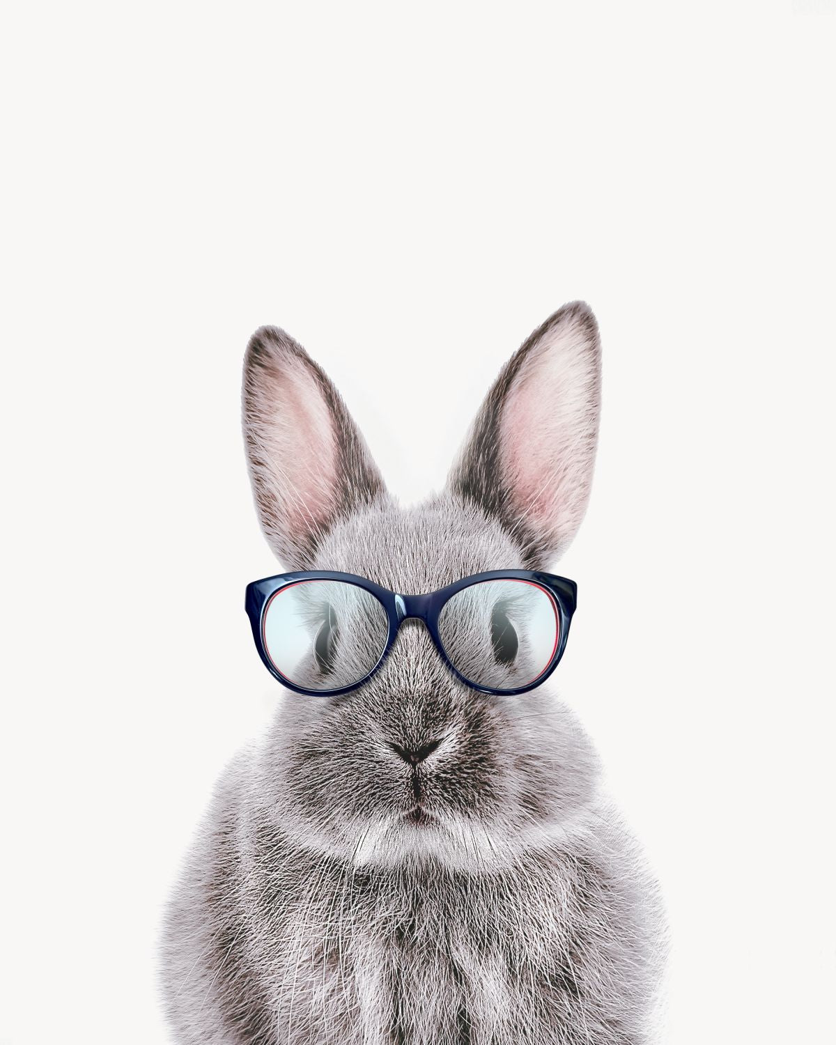 Four-Eyed Bunny