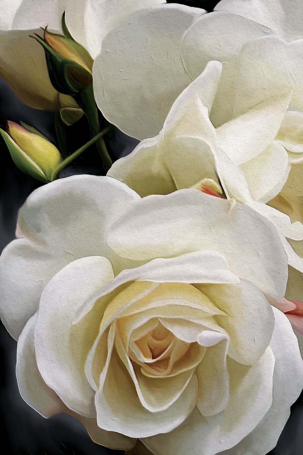Creamy White Roses