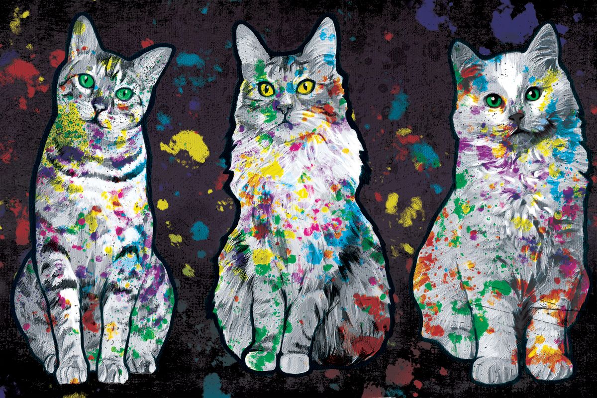 Curious Cats Color Splash Paint