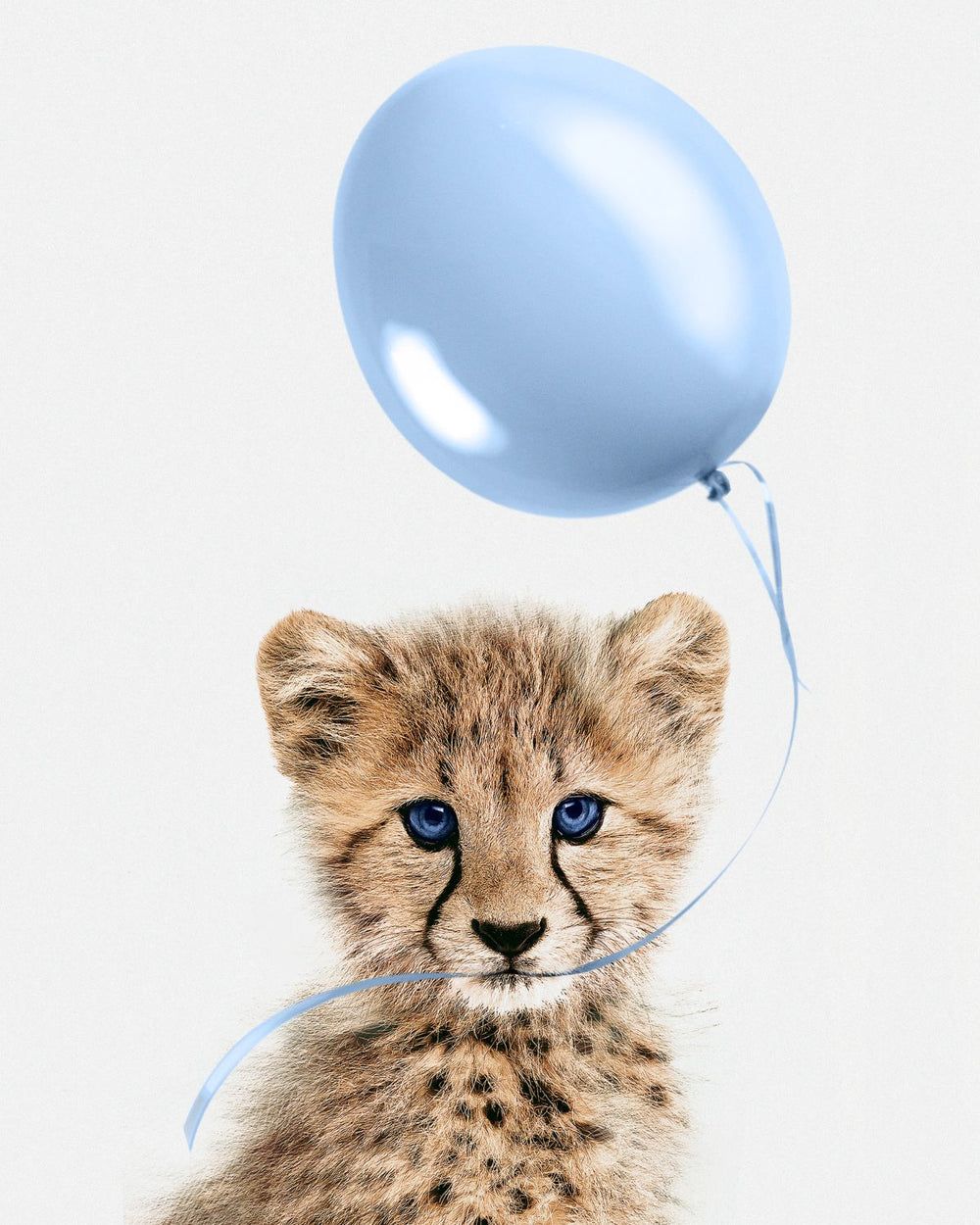 Cheetah And Blue Balloon