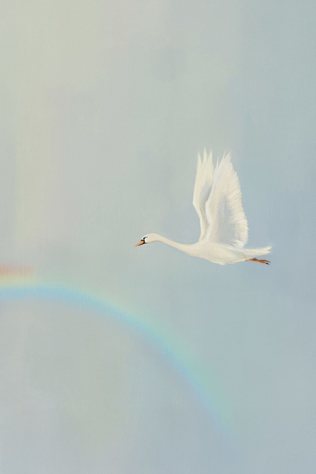 Flying To The Rainbow