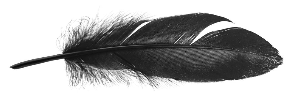 Dark Feather