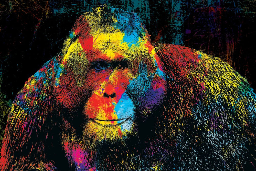 Orangutan In Colors