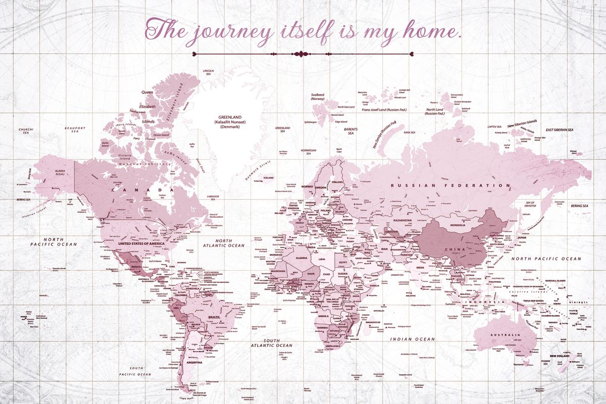 Journey Is Home Push Pin World Map