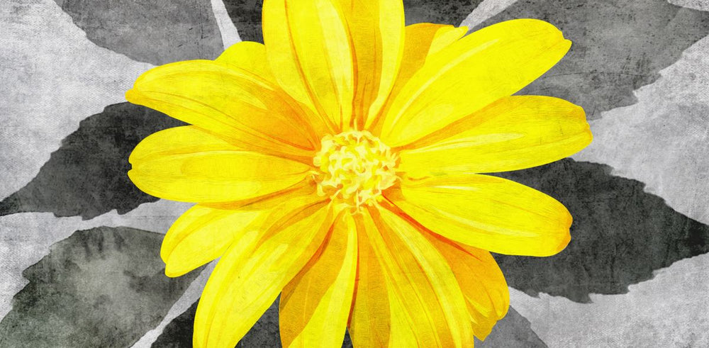 Bright Yellow Daisy