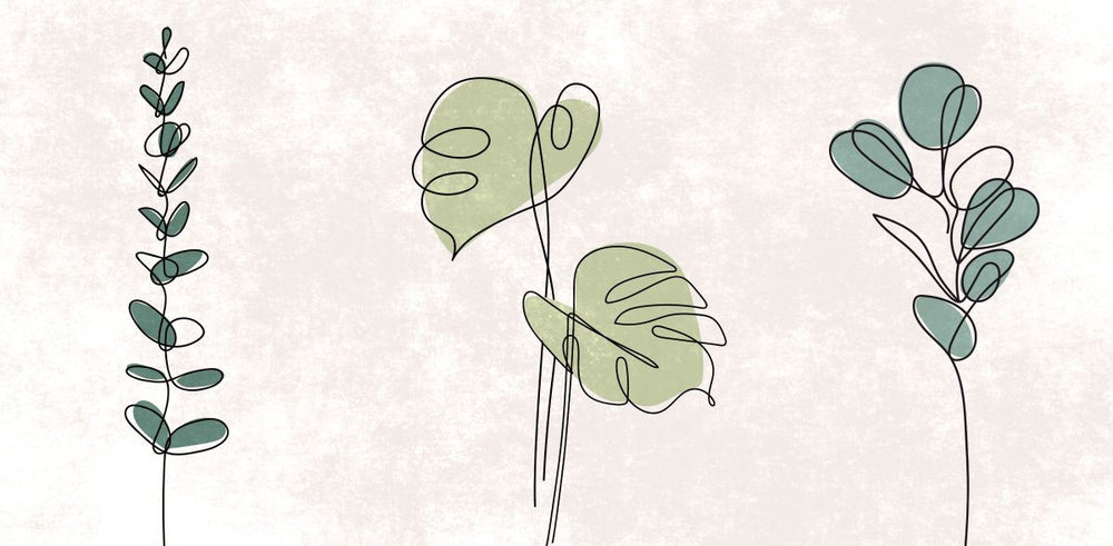 Green Leaf Illustration