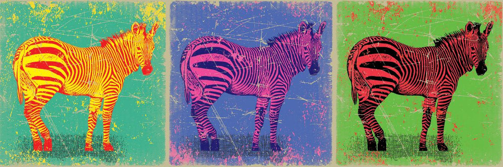 Retro Colored Zebras