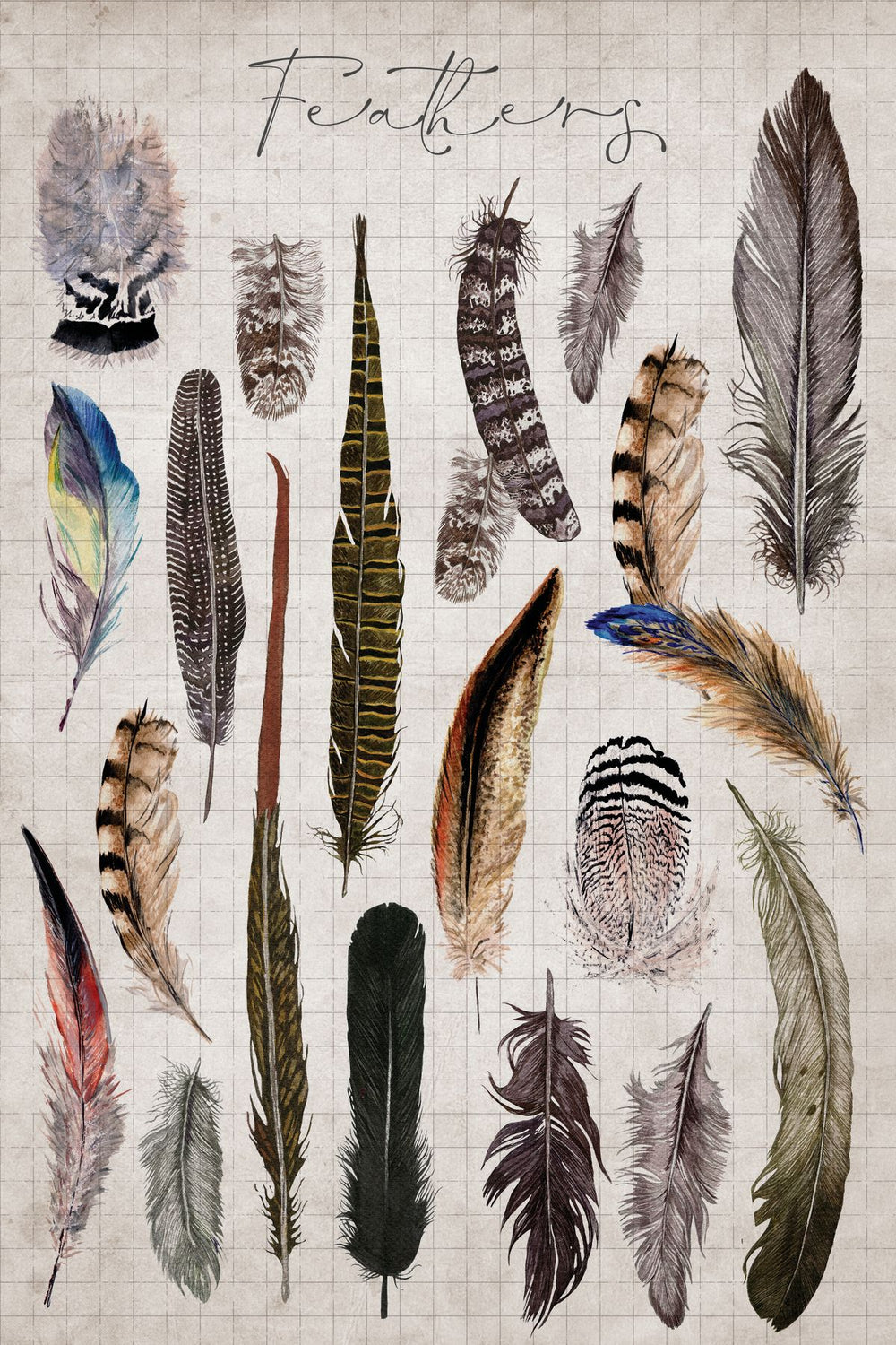 Vintage Feathers Chart
