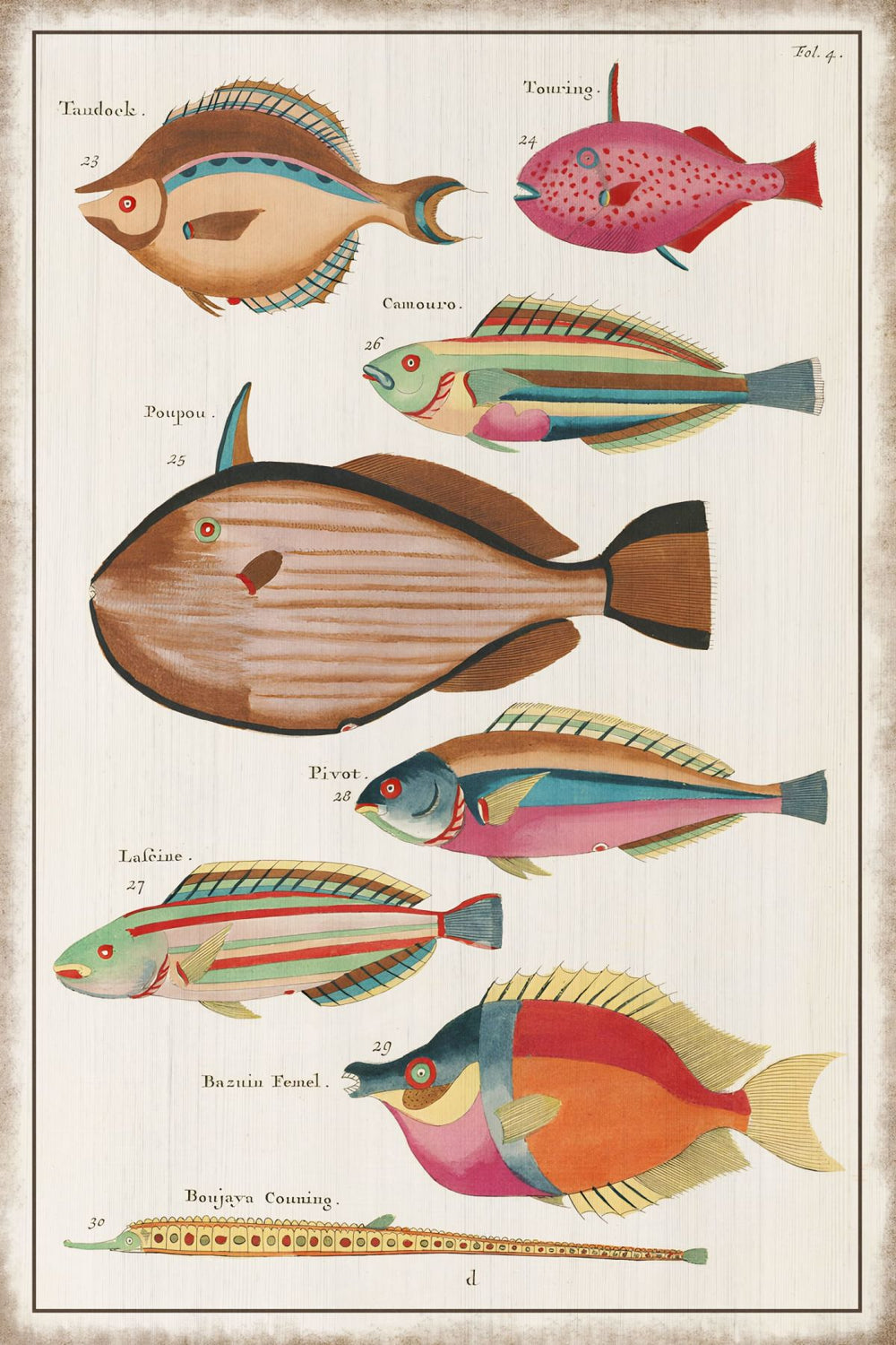 Psychedelic Fishes I Wall Art