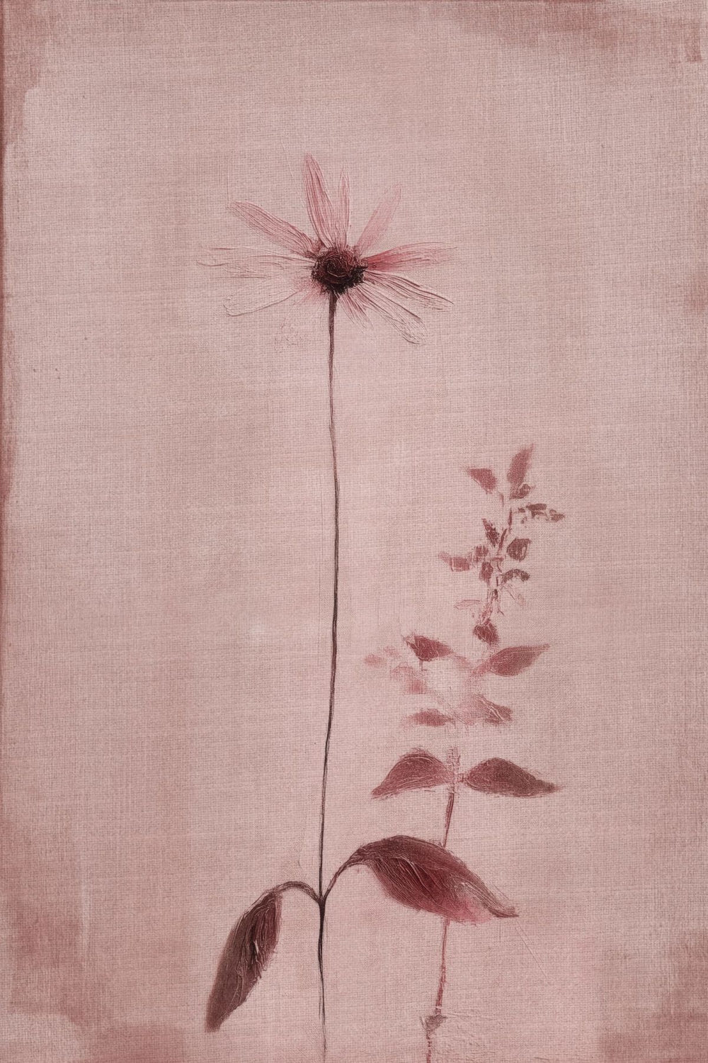 Dainty Flowers Blush II