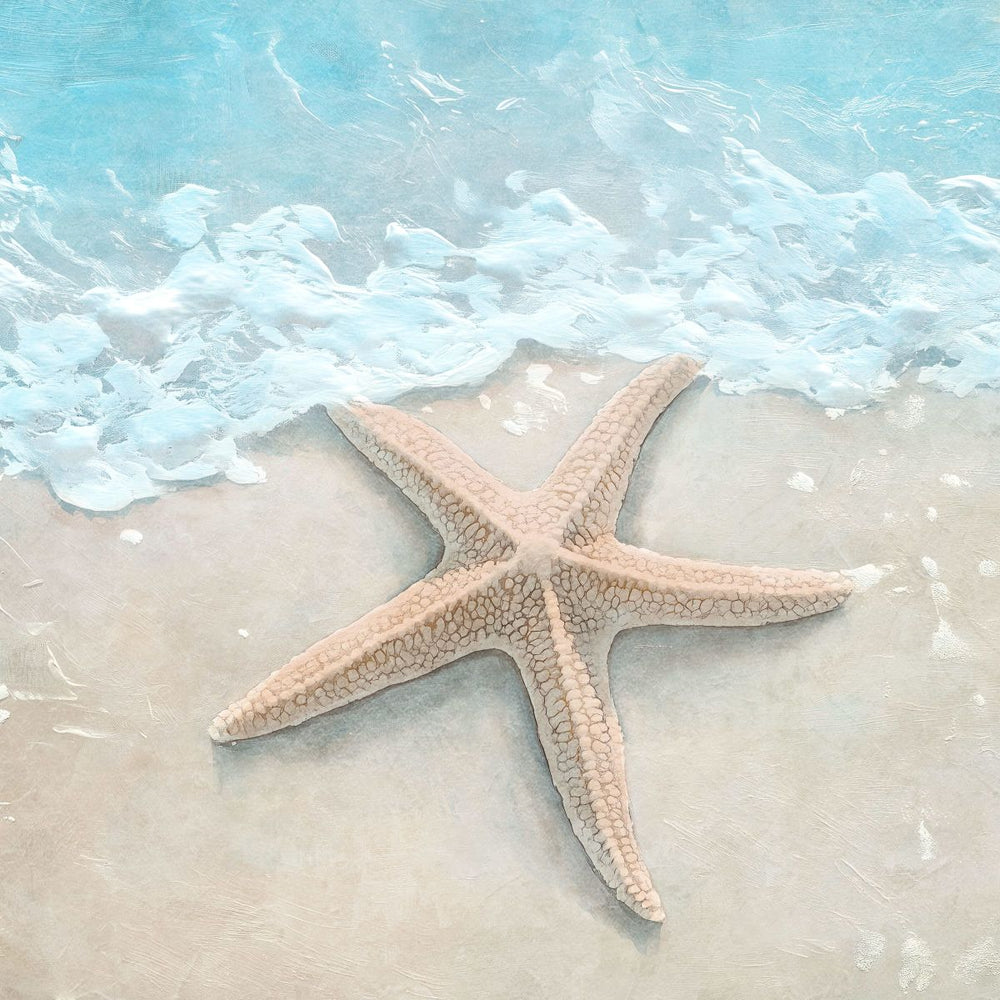 Coastal Star Wall Art