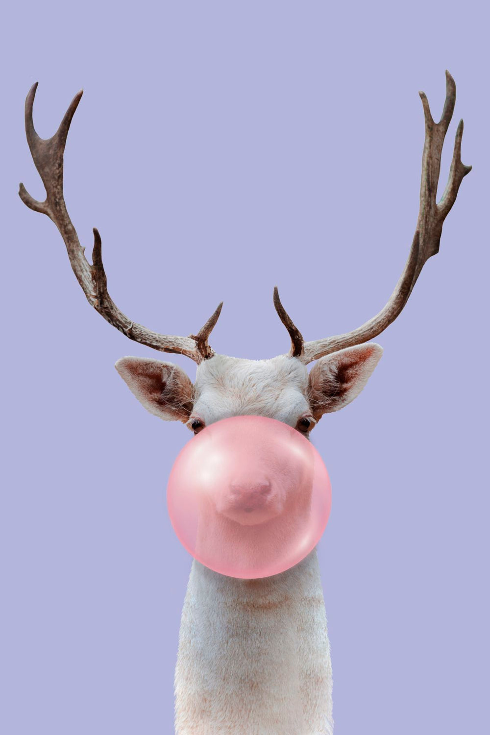 Bubble Gum Deer