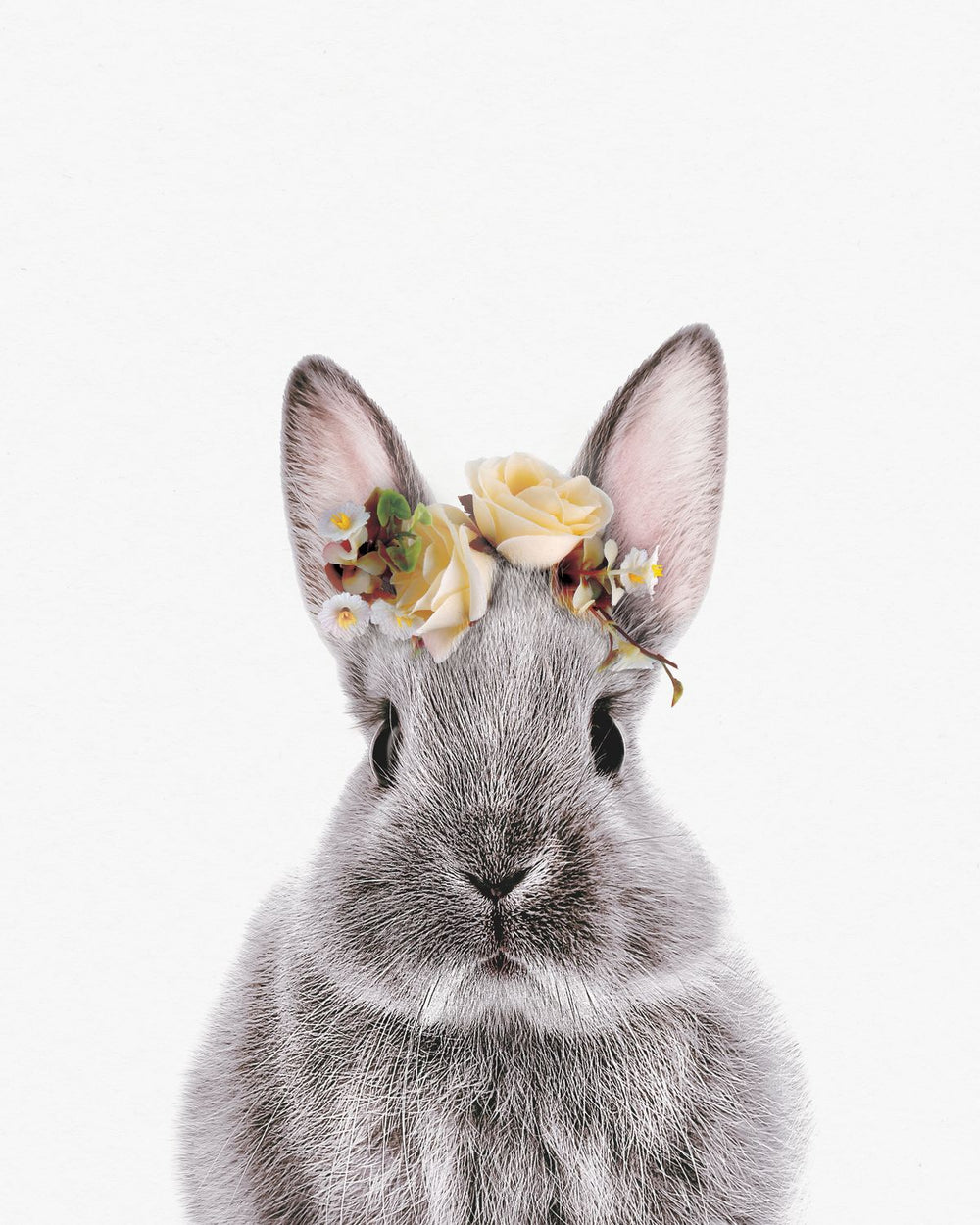 Flower Crown Bunny
