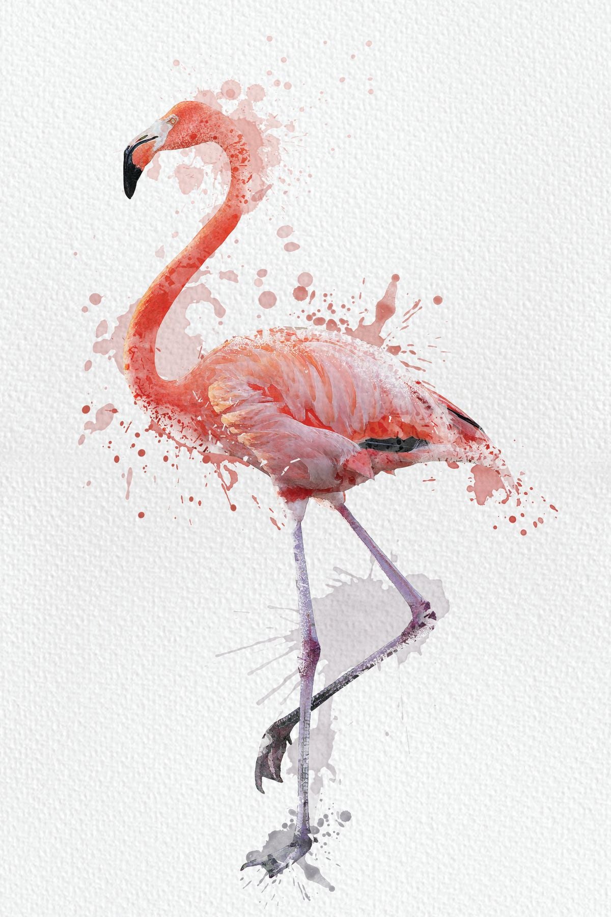 Flamingo Pink Color Splash