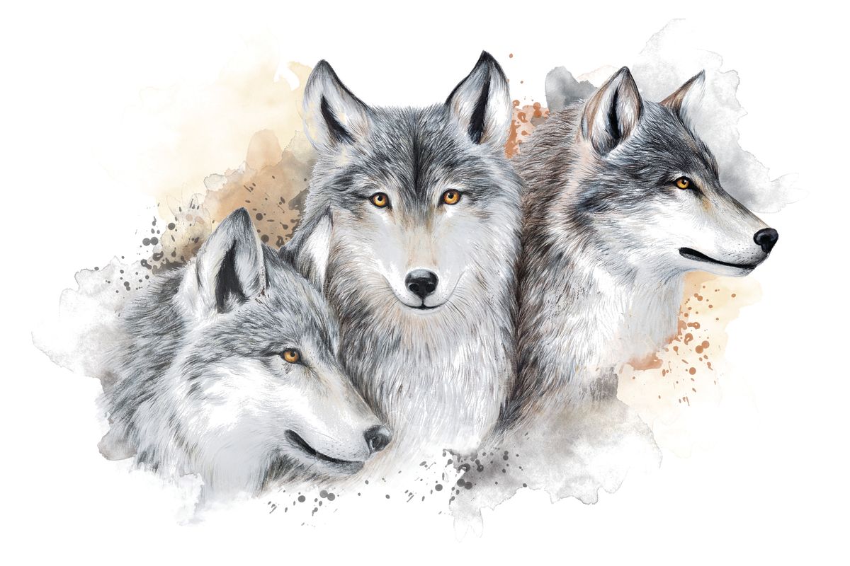 Watercolor Wolves