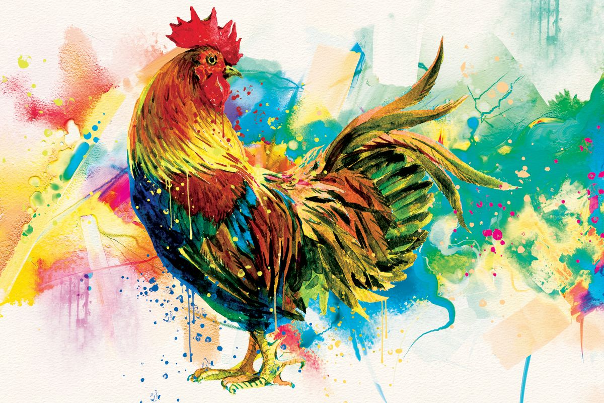 Rooster Paint Splash