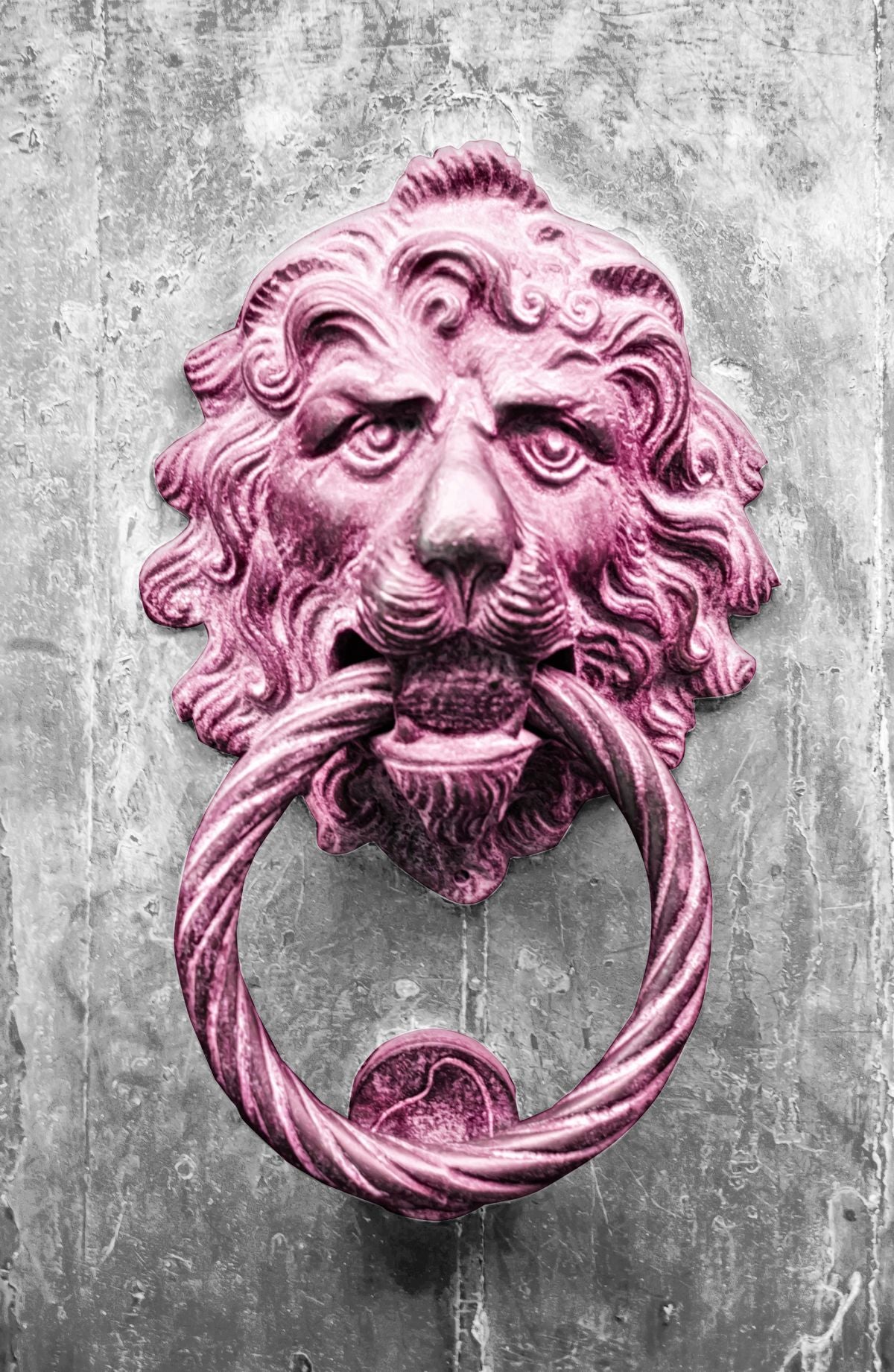 Lion Door Knocker