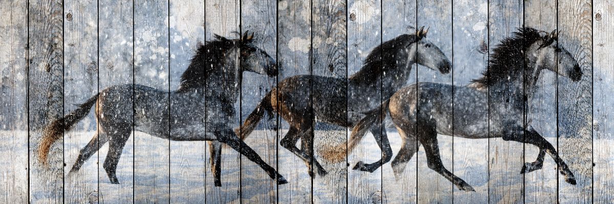 Wooden Winter Horses
