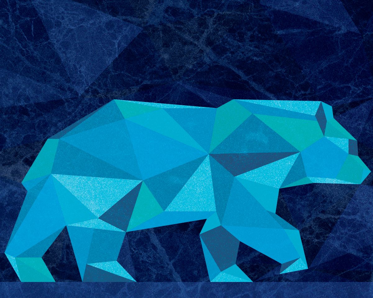 Geometric Bear